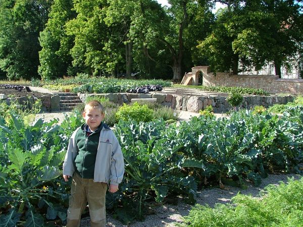 Pałacowy ogród warzywny
