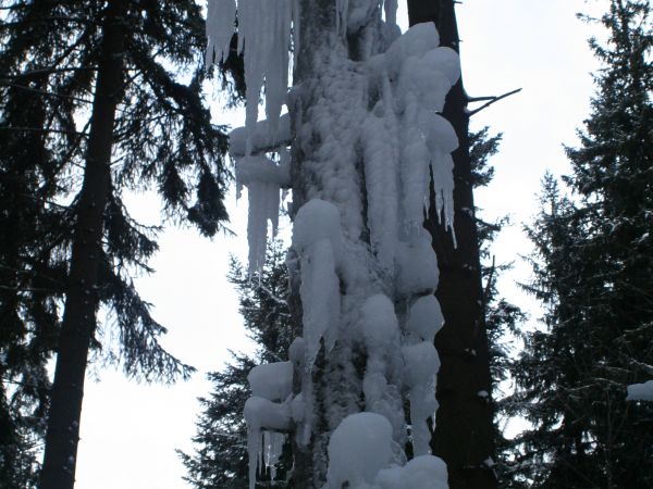 Fot. Ewa Kamila Jabłońska