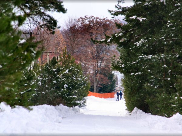 zdjecie Tyniewicze Duże