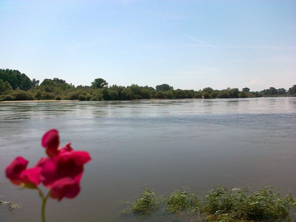 Nadwiślański wernisaż artystyczny  . Po drugiej stronie Wisły  pojawiają się plaże , to już woj. małopolskie . Oczywiście są to  klimaty okolic Brzostkowa .