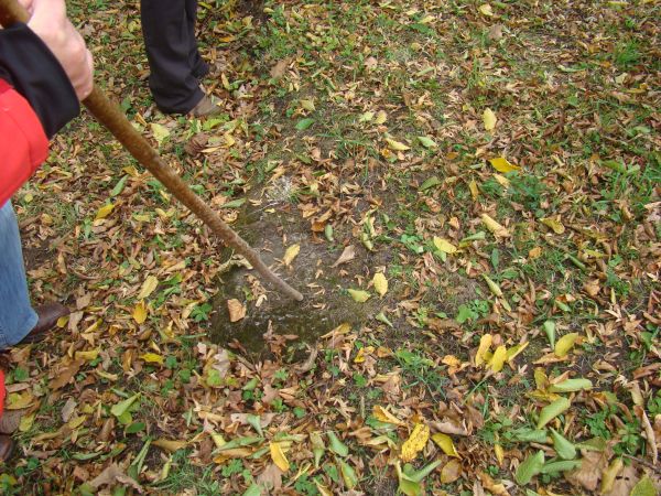 fragmenty murów cerkiewnych - fundamentów, chociaż rzadko były takie stosowane, bardziej: w zależności, czy cerkiew miała być drewniana czy murowana itp., bo ma