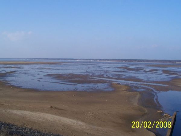 Widok na Jezioro Turawskie