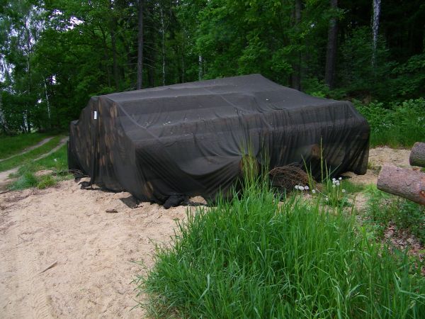 kopiec drzewa  ochrona przed szkodnikami