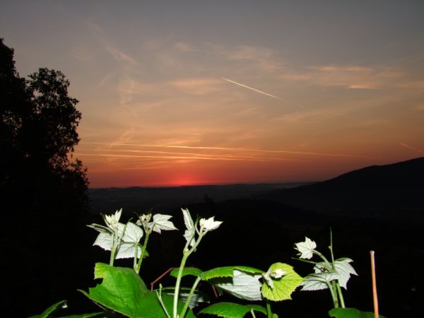 Wschód słońca nad Gorzeniem Górnym (5 czerwiec 2011 r.)