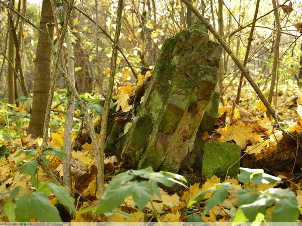 Pozostałości dawnego Pałacu.