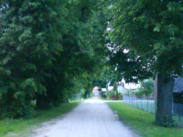 zdjecie Litwinowicze