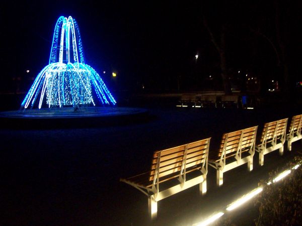 Park nocą