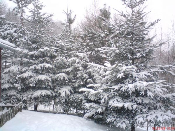 Zima w Hucisku Jawornickim