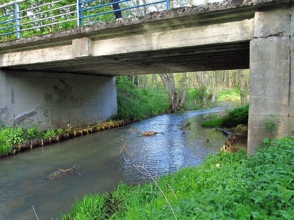 Pod mostkiem przy Strudze w Leśnej Hucie