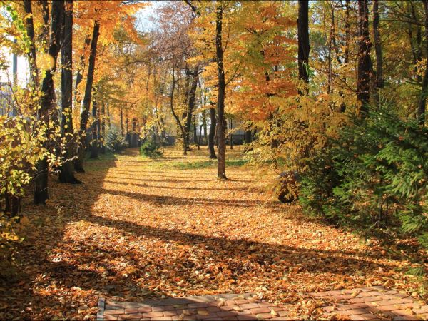 Klasztor i park  ss. Niepokalanek na Głębokiej.