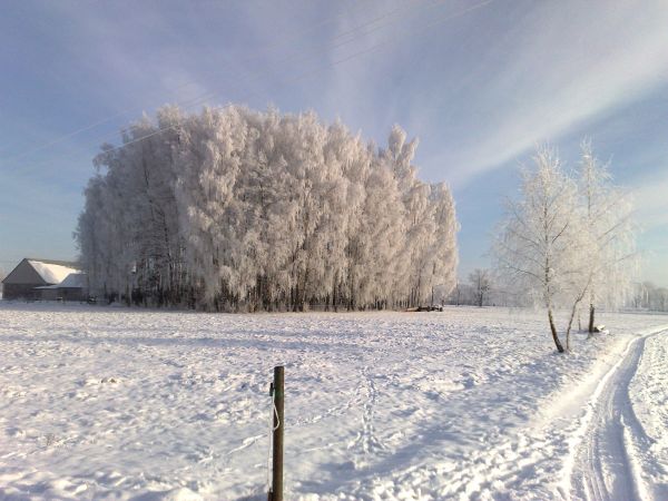 zdjecie Borawskie-Awissa