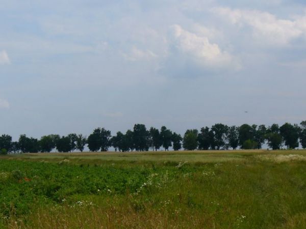 Krajobraz Białej Wielkiej