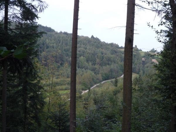 Droga na Jaworze.Widok z lasu Harenzowo.