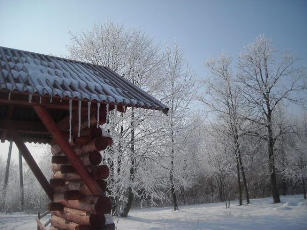 To zdjęcie zrobiłem na mojej posesji ponieważ urzekł mnie widok, który zobaczyłem za oknem rankiem 21 lutego :) ALLE zImA ;)