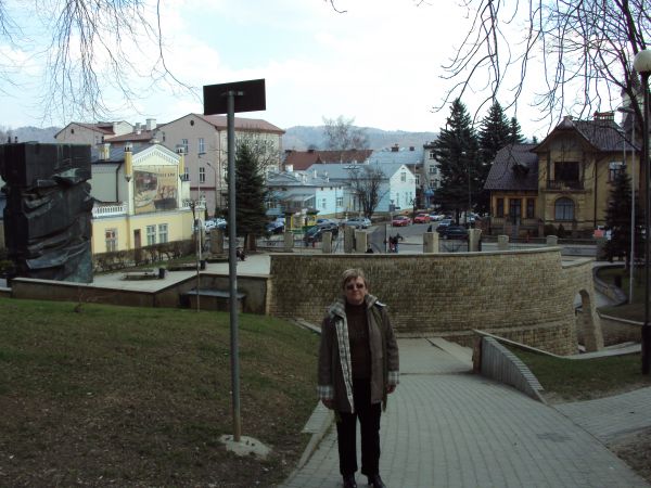 Sanockie założenie parkowe uznawane jest za jedno z piękniejszych w Polsce. Jest to obiekt cenny zarówno pod względem wartości przyrodniczych , jak i kulturowyc