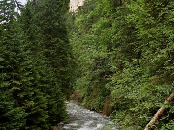 Dolina Kościeliska, Kościelisko