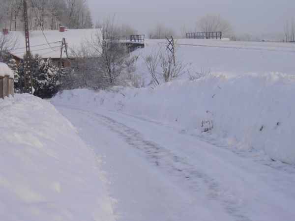 Zima -Grudzień 2010