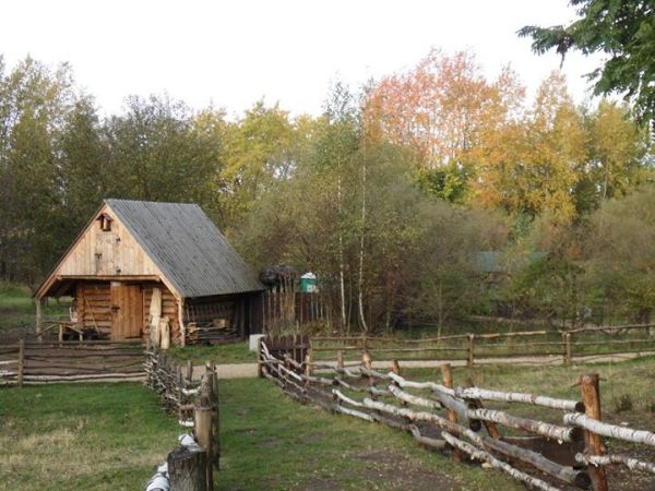 Jaworznicka Bacówka od maja do końca września z zwierzątkami (owieczki, osiołek).