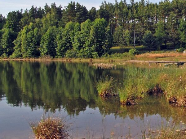 Nad jeziorem Gogolinek w Czarnym