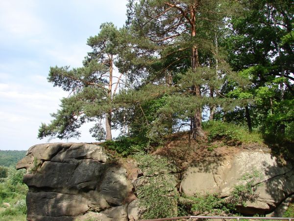 zdjecie Ciężkowice