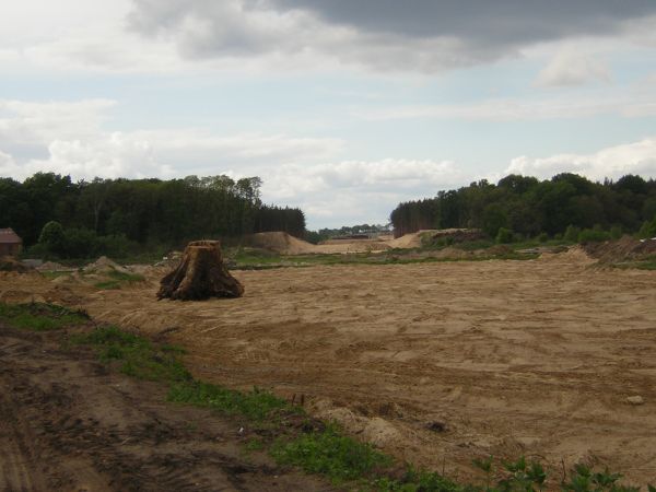 zdjecie Sulechów