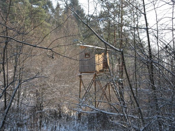 toż to knieja niemalże i ten Dębniański Potok - i klimaty i w ogóle...