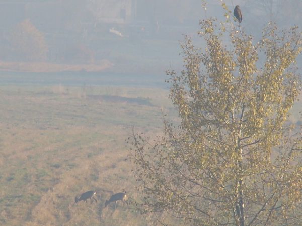 Jesień 2010 - Książenice :)