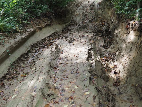 ... czy po suchym, czy przez błoto - maszeruje się z ochotą...