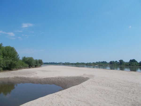 " Lato pachnące miętą, lato koloru malin, lato zielonych lasów, lato kukułek i czajek "" Plaże terytorium wspólnego Pawłów - Brzostków. Jeśli powstaje dylemat ;