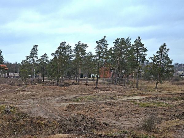Widok na teren byłej stacji kolejowej Waplewo Wielkie - luty 2016.