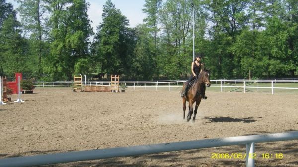 Jeziorki - trening jeździecki