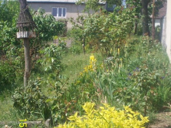 Przydomowy ogródek mieszkanki Łupowa.