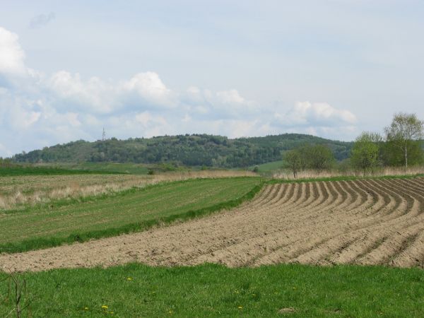 na górze Makówka przekaźnik widzimy ale wcześniej w dolinie Tarnawa Górna i rzeka Kalniczka płynie, by w Tarnawie Dolnej do rzeki Osławy zmierzać.