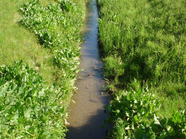 Fot. Ewa Kamila Jabłońska