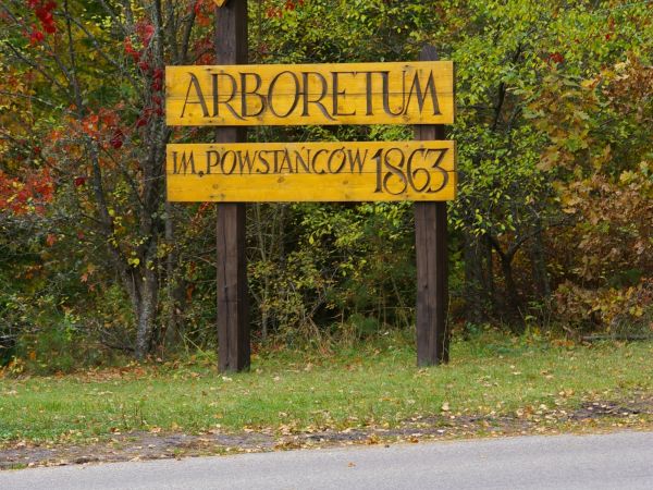 Arboretum w Kopnej Górze niedaleko Supraśla ( Puszcza Knyszyńska)