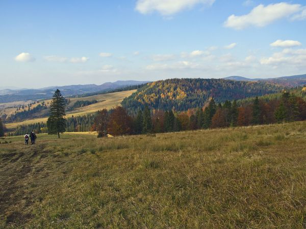 REZERWAT BIAŁA WODA