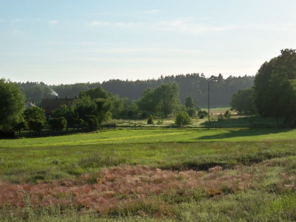 zdjecie Trzęsów