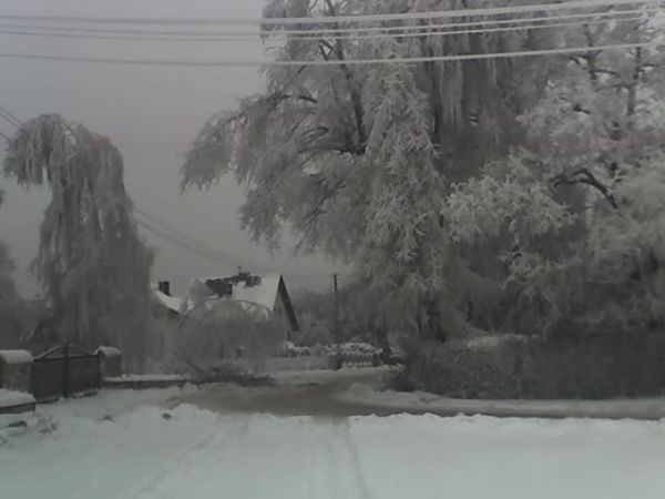 zdjecie Krzywopłoty