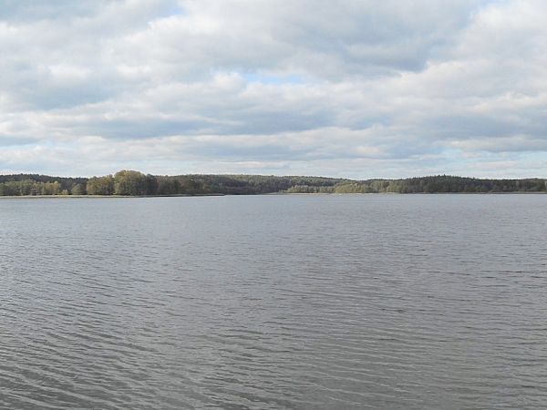 Panorama jeziora Trzechowskiego