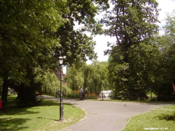 Promenada przy ul. Kubika