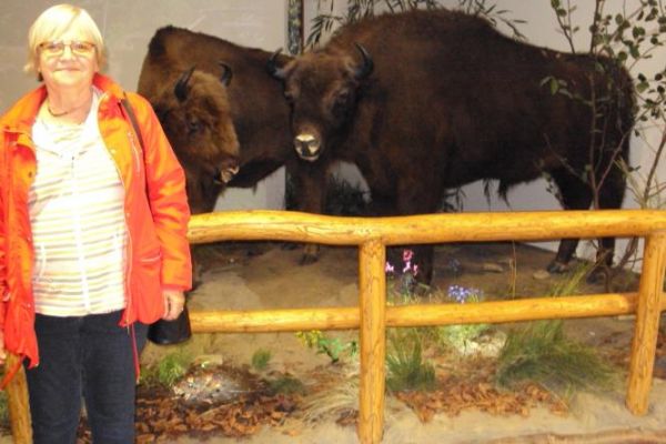 w Muzeum Przyrodniczym - obiekt i bogate ekspozycje niedawno oddane - łatwo przegapić a warto tam być - i dla dorosłych i z dziećmi.