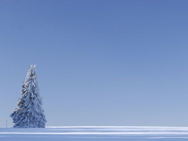 Piękna zimowa przestrzeń w drodze Z Karłowa do Pasterki. O.W. Szczeliniec zapraszamy na www.szczeliniec.pl  fot. Grzegorz Bartusiak
