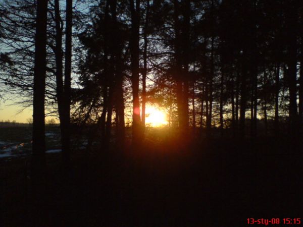 Przepiękne widoki okloicznych lasów na zimowe spacery.