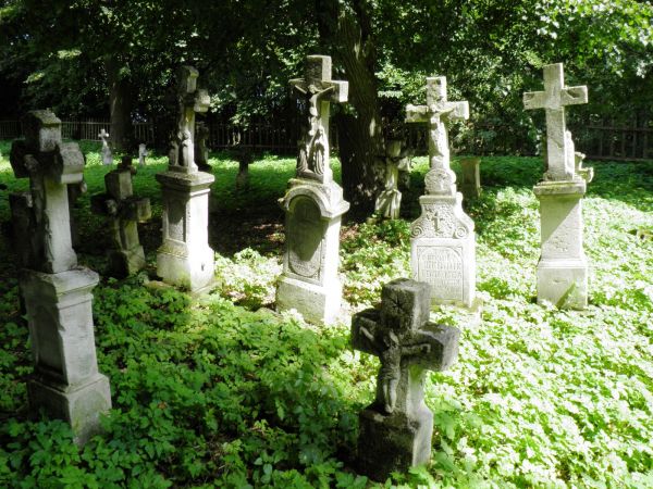 Stary , zabytkowy cmentarz greckokatolicki w Radrużu. Krzyże i figury  nagrobne wykonane przez artystów - kamieniarzy ze Starego Brusna . Wsi tamtej nie ma , lu