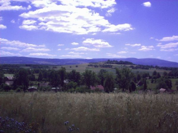 zdjecie Krzewie Wielkie