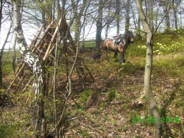 Goral pilnujący konia:)