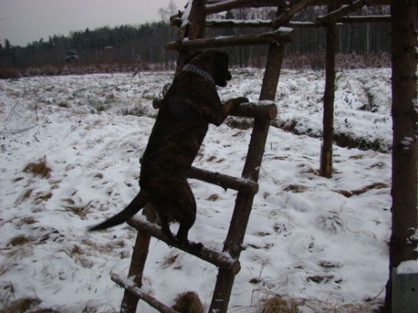 A ten się nadaje na myśliwego :))