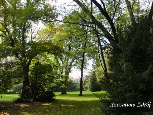 zdjecie Szczawno-Zdrój