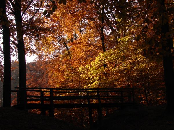 Trojmiejski Park Krajobrazowy