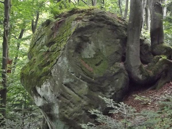 grzbiet góry - od strony północnej opada gwałtownie kilkadziesiąt metrów w dół, na jego skłonie pojawiają się fantastycznie ukształtowane ostańce i głazy.